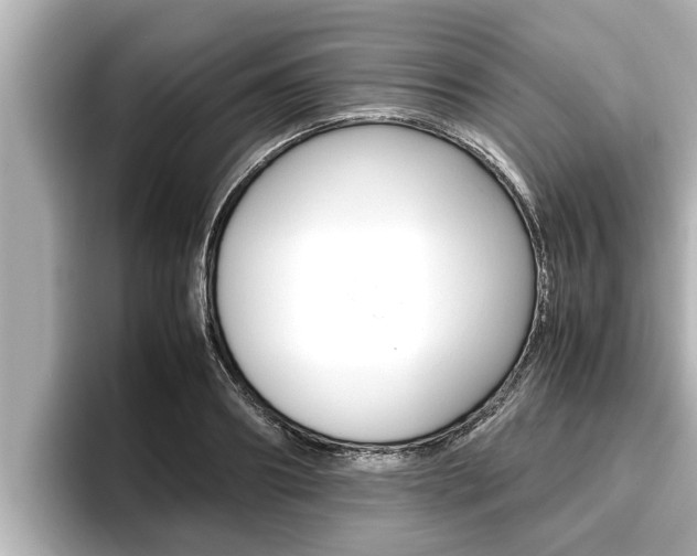 X0000096670890200802051007