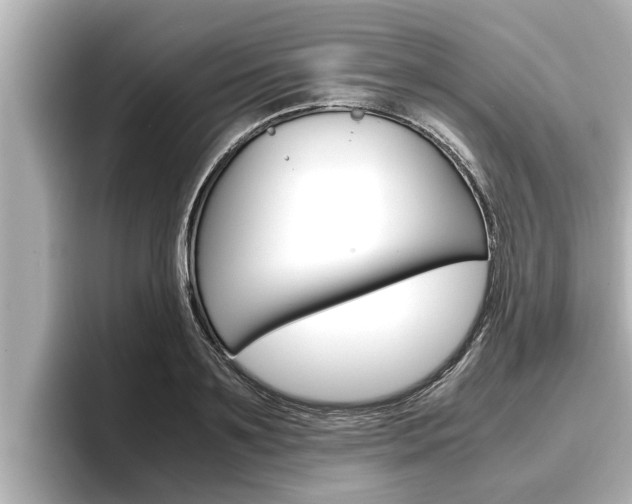 X0000096670891200802051007
