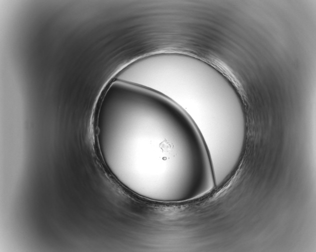 X0000096670892200802051007