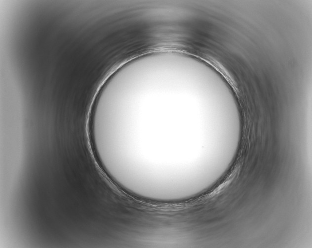 X0000096670893200802051007