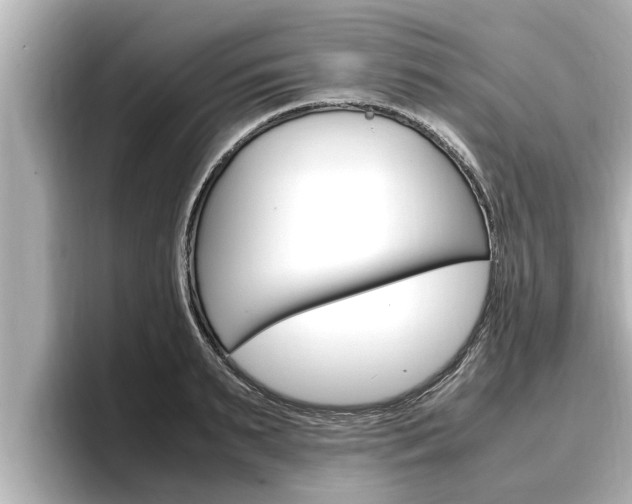 X0000096670895200802051007