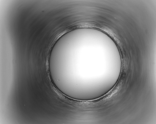 X0000096670897200802051007