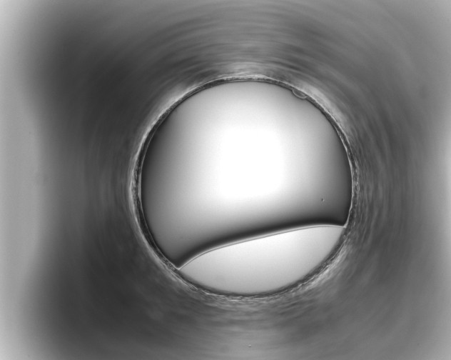 X0000096670901200802051007