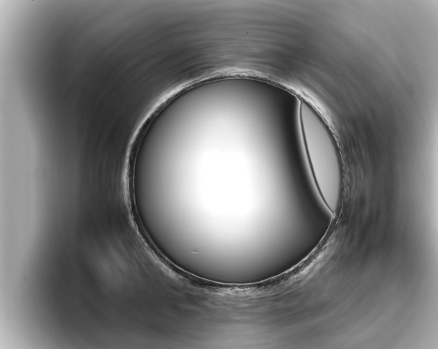 X0000096670902200802051007