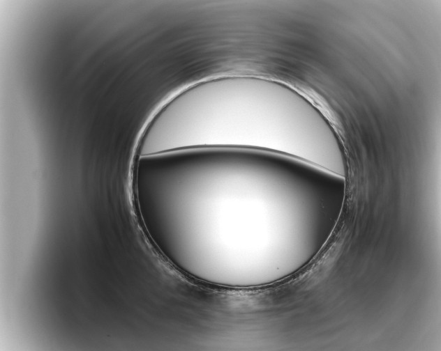 X0000096670904200802051007