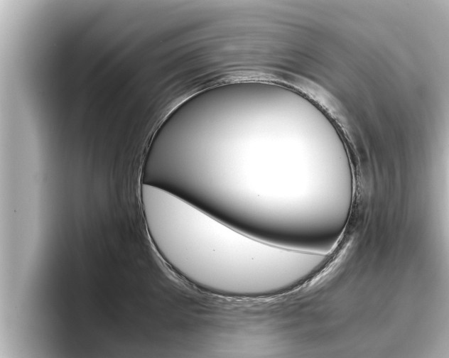 X0000096670905200802051007