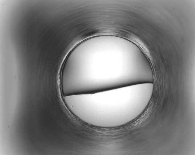 X0000096670907200802051007