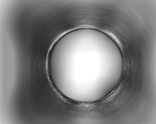 X0000096670910200802051007