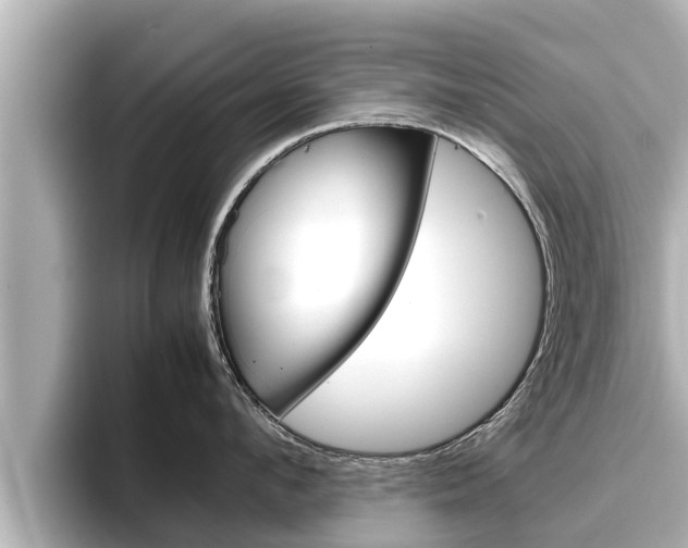 X0000096670912200802051007