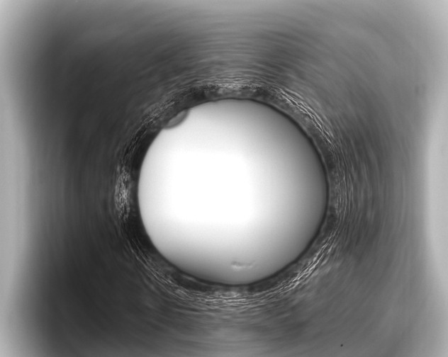 X0000096670914200802051007