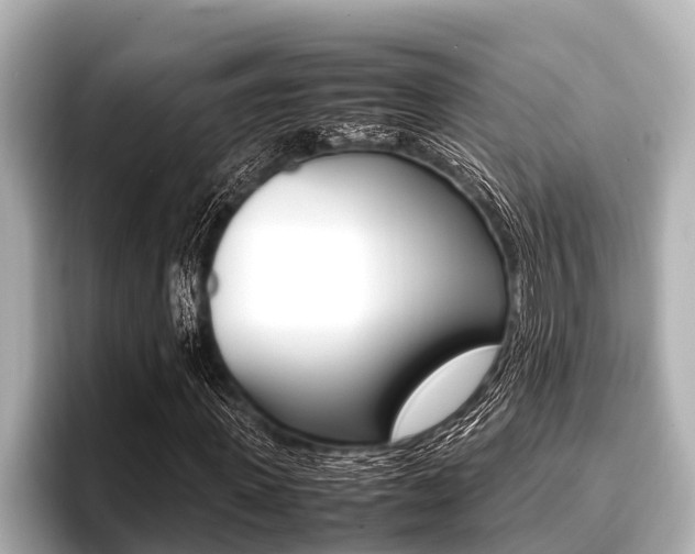 X0000096670915200802051007