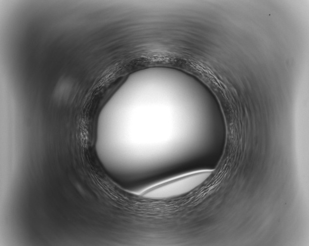 X0000096670916200802051007