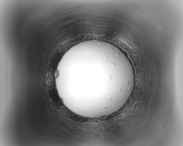X0000096670917200802051007