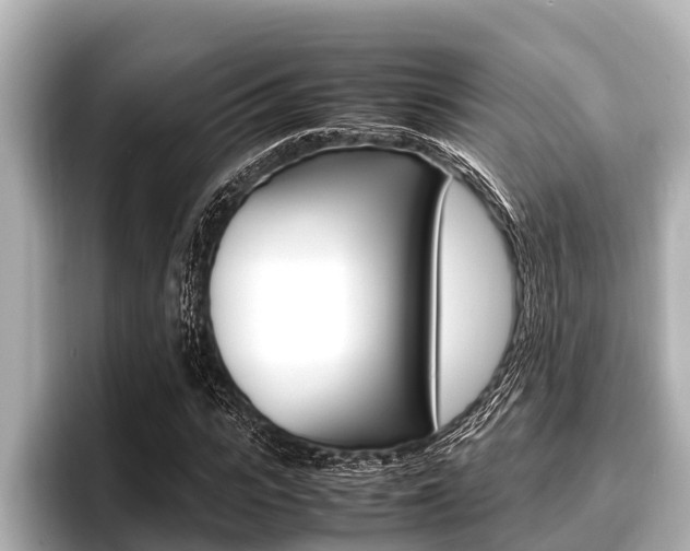 X0000096670919200802051007