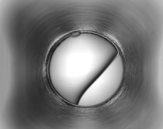 X0000096670928200802051007