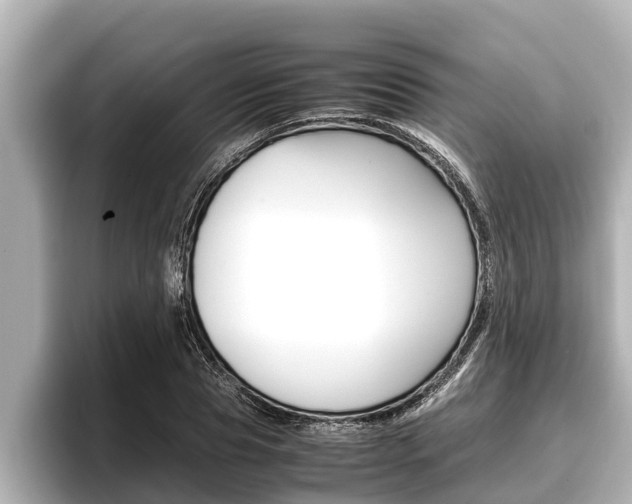 X0000096670929200802051007