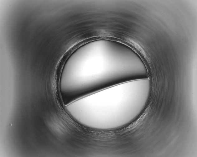 X0000096670931200802051007