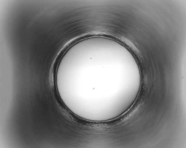 X0000096670934200802051007