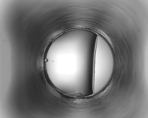 X0000096670938200802051007