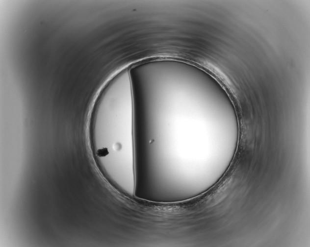 X0000096670939200802051007
