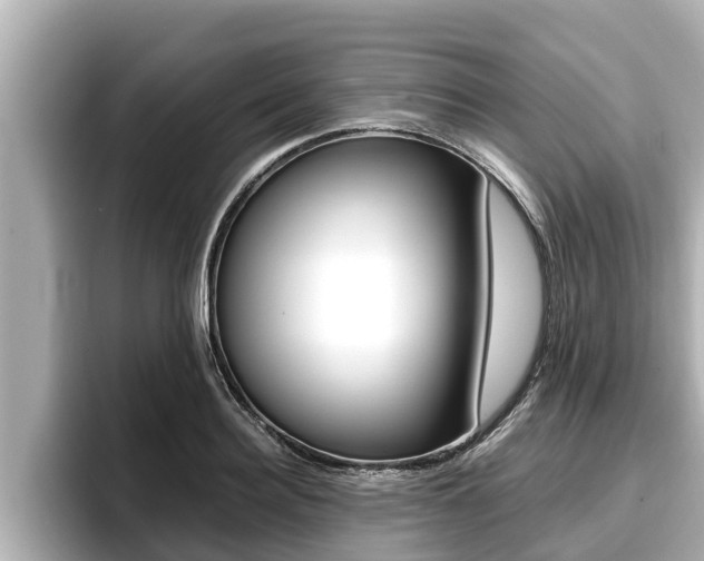 X0000096670940200802051007