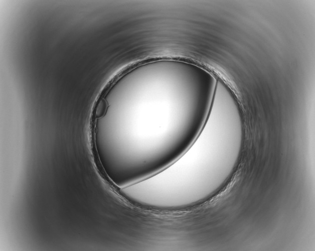 X0000096670942200802051007