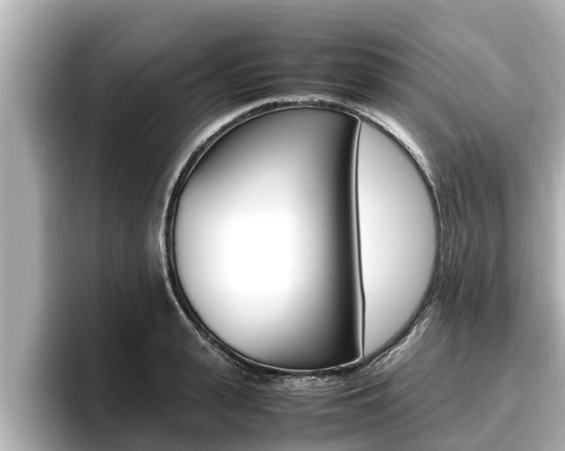 X0000096670943200802051007