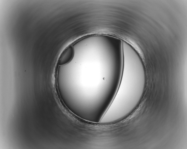 X0000096670944200802051007