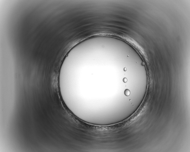 X0000096670945200802051007