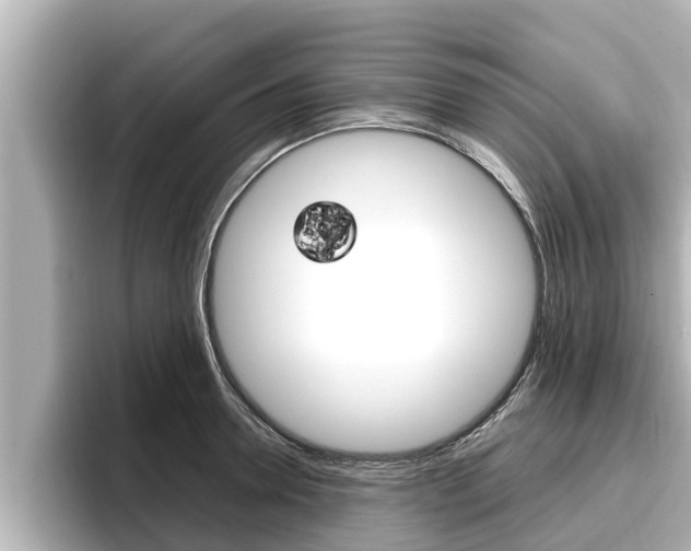 X0000096670946200802051007