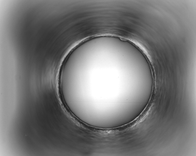 X0000096670949200802051007