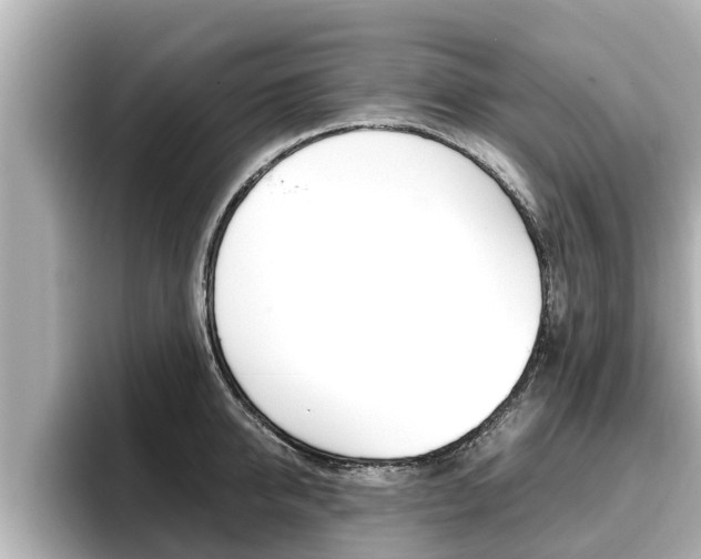 X0000096670950200802051007