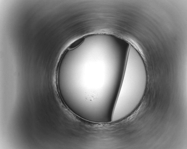 X0000096670952200802051007