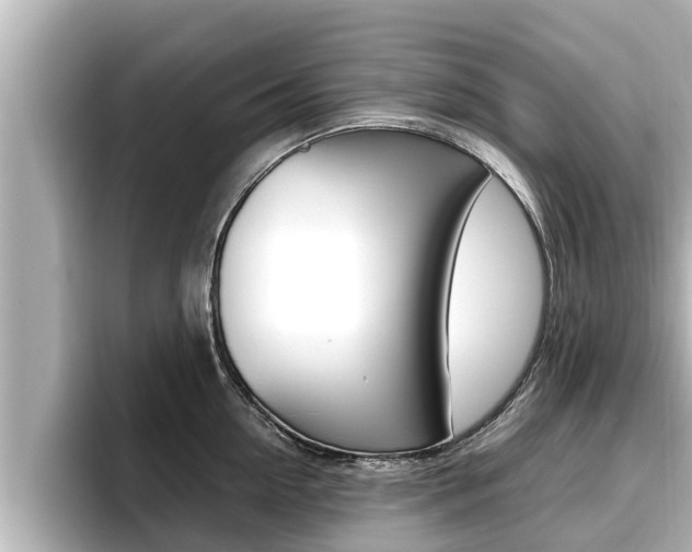 X0000096670954200802051007