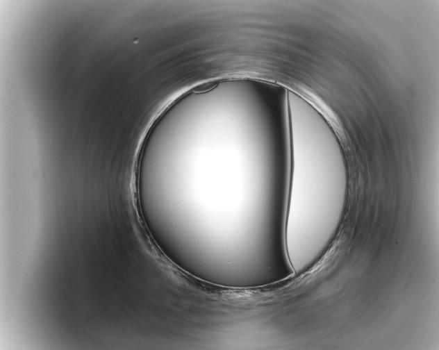 X0000096670956200802051007