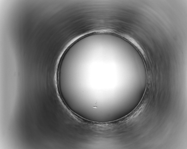 X0000096670959200802051007