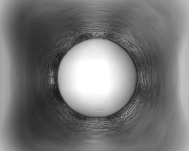 X0000096670962200802051006