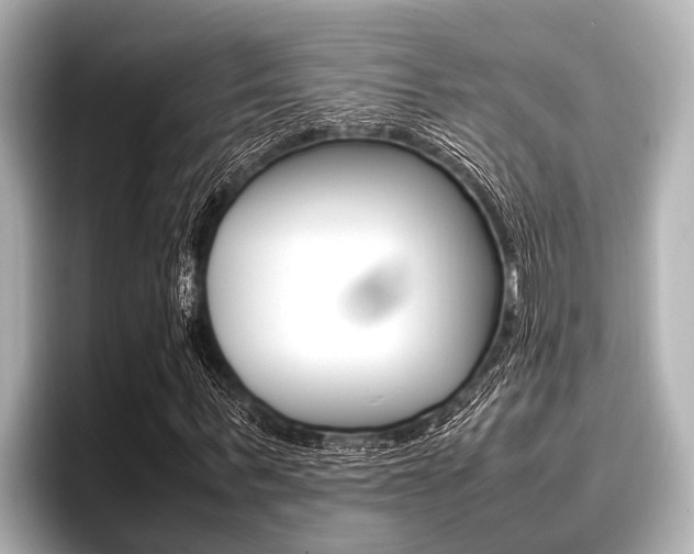 X0000096670963200802051006