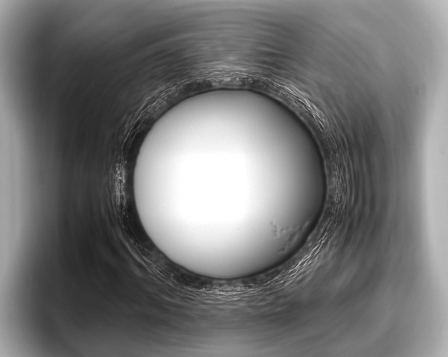 X0000096670964200802051006