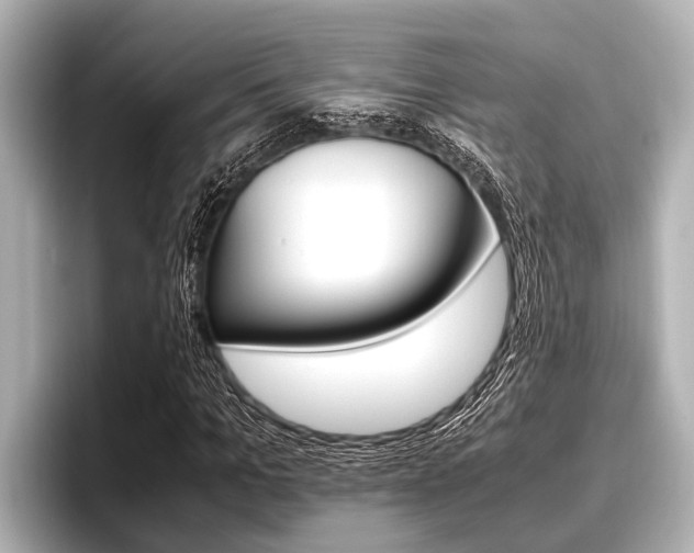 X0000096670965200802051006