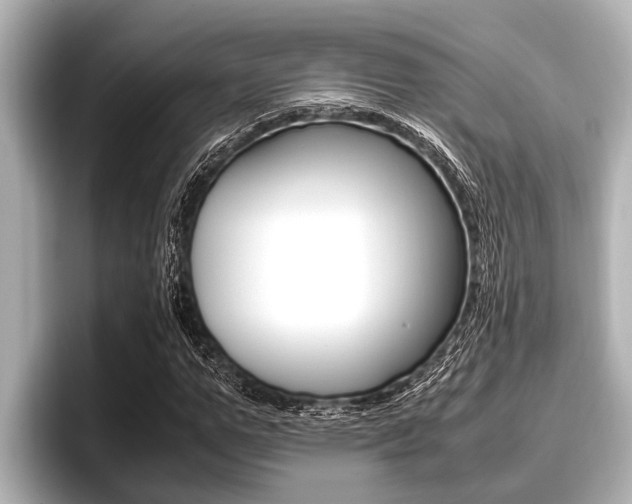 X0000096670967200802051006