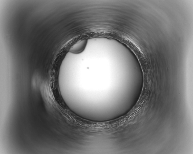 X0000096670968200802051006