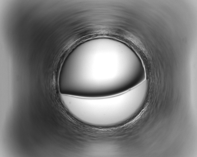 X0000096670969200802051006