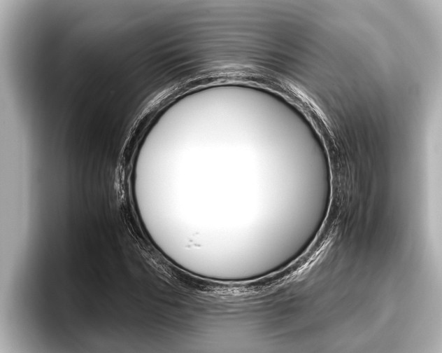 X0000096670970200802051006
