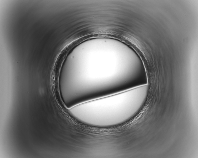X0000096670971200802051006