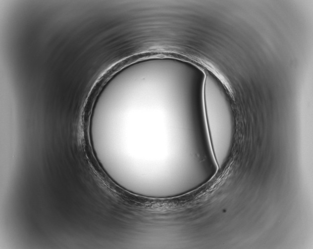 X0000096670972200802051006