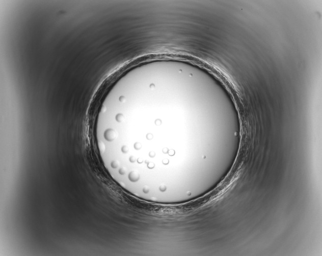 X0000096670974200802051006
