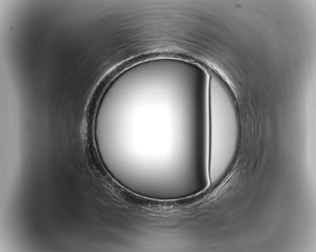 X0000096670975200802051006