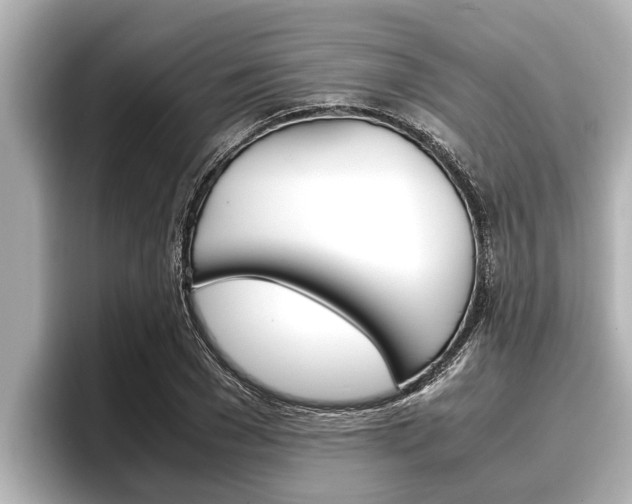X0000096670977200802051006