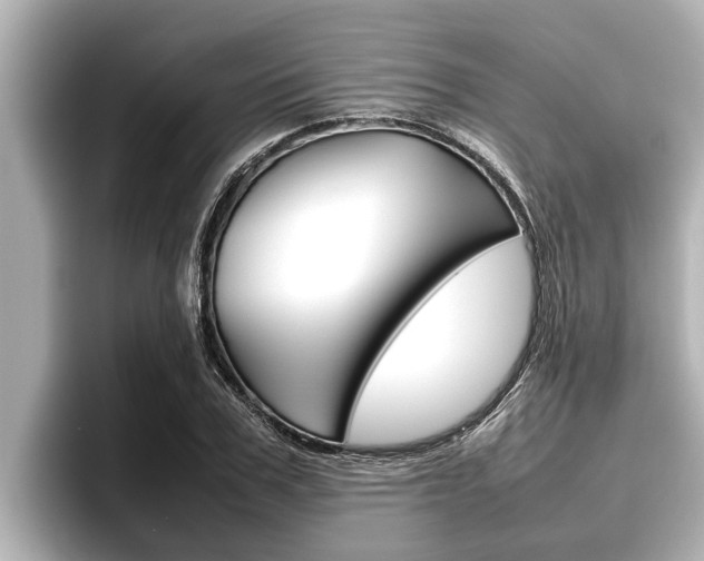 X0000096670979200802051006